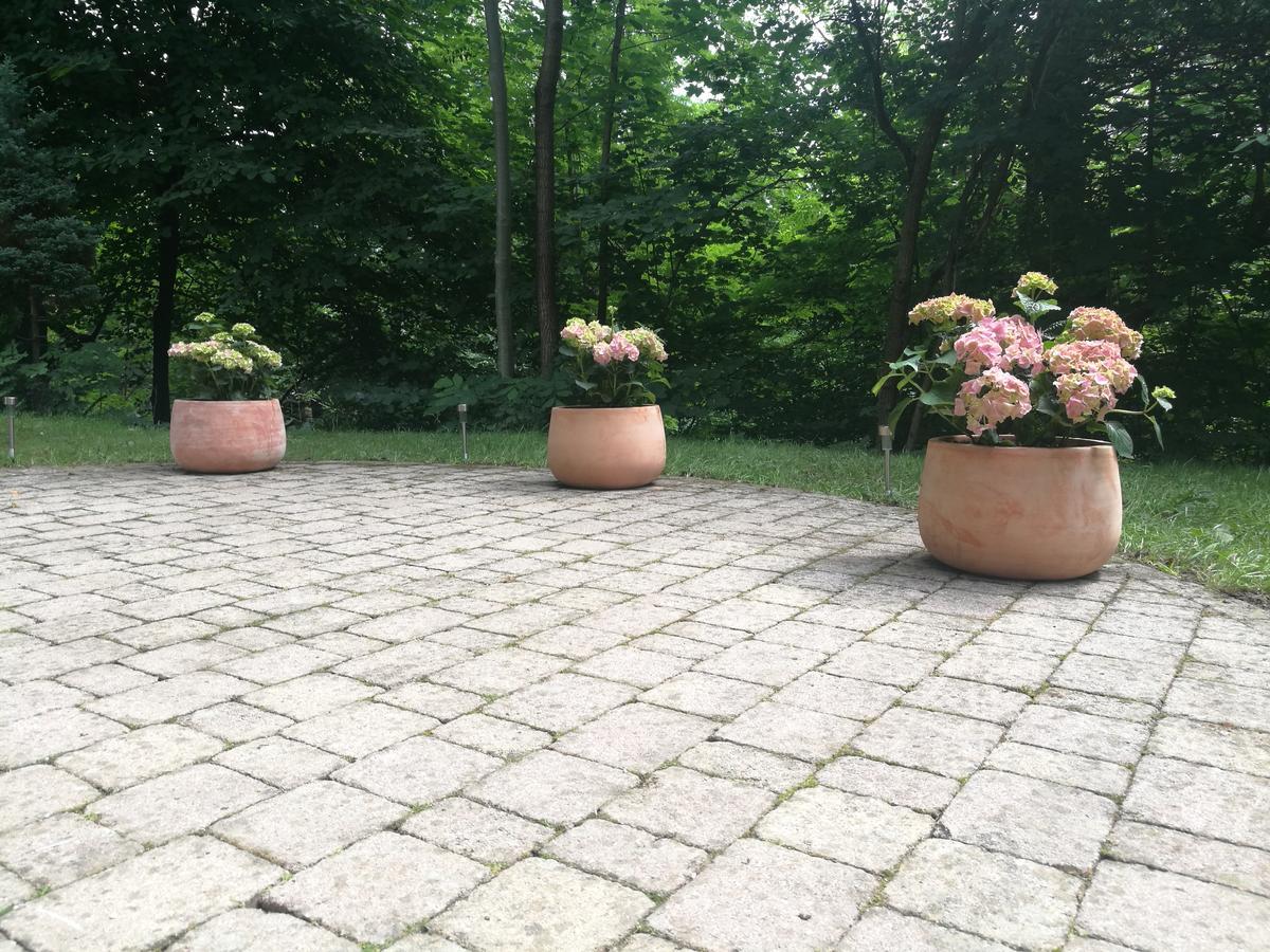 Apartments Bassanese 블레드 외부 사진
